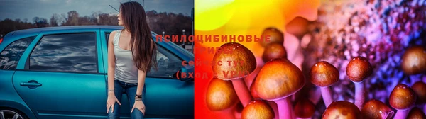 ГАЛЛЮЦИНОГЕННЫЕ ГРИБЫ Зеленокумск